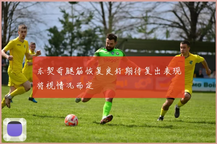 东契奇腿筋恢复良好期待复出表现将视情况而定